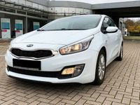 Gebraucht Kia ProCeed Edition 7 135 PS (99 kW) 2013 Weiß Kleinwagen