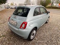 Gebraucht Fiat 500 Star 69 PS (50 kW) 2023 Mintgrün (196) Limousine