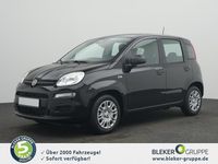 Gebraucht Fiat Panda Icon 65 PS (47 kW) 2025 Onyxschwarz Kleinwagen