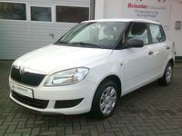 Gebraucht Skoda Fabia Active 75 PS (55 kW) 2013 Weiß Limousine
