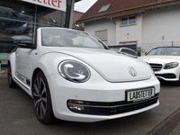 gebraucht VW Beetle Cabriolet Allstar 2,0 BMT*NAVI*RFK*LED*