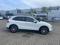 Gebraucht Porsche Cayenne Platinum Edition 245 PS (180 kW) 2014 Weiß SUV