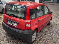 Gebraucht Fiat Panda Active 54 PS (39 kW) 2006 Rot Kleinwagen
