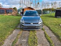 Gebraucht VW Golf VII Sound 150 PS (110 kW) 2018 Grau Kombi