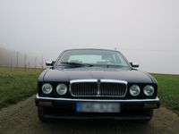 gebraucht Jaguar XJ40 