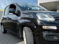 Gebraucht Fiat Panda 69 PS (50 kW) 2014 Schwarz Kleinwagen