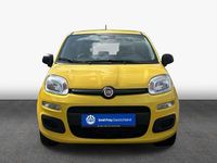 Neu Fiat Panda 69 PS (50 kW) 2025 Positano gelb Kleinwagen