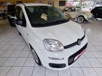 Gebraucht Fiat Panda 51 PS (37 kW) 2025 Andere Kleinwagen