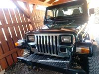 Gebraucht Jeep Wrangler 123 PS (90 kW) 1995 Schwarz SUV