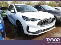 Neu Ford Kuga ST-Line 186 PS (136 kW) 2026 Weiss SUV