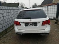 Gebraucht Mercedes E250 Avantgarde 204 PS (150 kW) 2013 Weiß Kombi