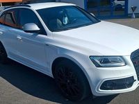 Gebraucht Audi SQ5 Competition 326 PS (239 kW) 2017 Weiß SUV