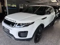 Gebraucht Land Rover Range Rover evoque Pure 150 PS (110 kW) 2019 Weiß SUV