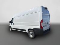 Neu Opel Movano 140 PS (102 kW) 2025 Weiß Van