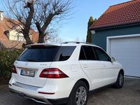 Gebraucht Mercedes ML350 258 PS (189 kW) 2014 Weiß SUV
