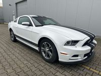 gebraucht Ford Mustang 3,7 Coupe Automatik Xenon Leder
