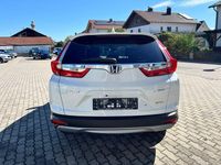 Gebraucht Honda CR-V Elegance 184 PS (135 kW) 2023 Weiß SUV