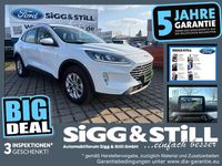 Gebraucht Ford Kuga Titanium 224 PS (164 kW) 2023 Frostweiß SUV