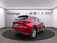 Gebraucht Mazda CX-5 Sports-Line 184 PS (135 kW) 2020 Rot SUV
