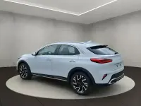Nowe Kia Ceed 150 KM (110 kW) 2026 Biały Hatchback