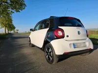 Occasion Smart ForFour Electric Drive 58 kW (80 ch) 2019 Blanc Citadine