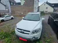 Gebraucht Chevrolet Captiva LT 230 PS (169 kW) 2010 Weiß SUV