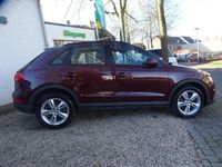 Gebraucht Audi Q3 Performance 150 PS (110 kW) 2017 Rot SUV