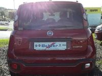 gebraucht Fiat Panda Red