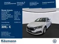 Gebraucht Skoda Octavia Style 116 PS (85 kW) 2024 Moonweiss metallic Kombi