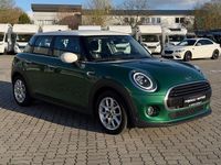 Gebraucht Mini Cooper 136 PS (100 kW) 2020 Grün Kleinwagen