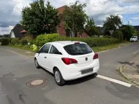Gebraucht Opel Corsa Active 69 PS (50 kW) 2016 Weiß Kleinwagen