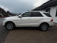 Gebraucht Mercedes ML350 258 PS (189 kW) 2013 Weiß SUV