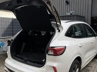 Gebraucht Ford Kuga ST-Line 120 PS (88 kW) 2023 Weiß SUV