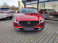 Gebraucht Mazda CX-30 Exclusive-Line 150 PS (110 kW) 2024 Soul red crystal m (metallic) SUV