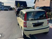 Gebraucht Fiat Panda 50 PS (36 kW) 2009 Gelb Kleinwagen