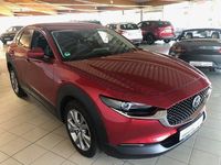 Gebraucht Mazda CX-30 Selection 122 PS (89 kW) 2022 Rot SUV