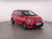 Neu Kia Picanto Vision 68 PS (50 kW) 2025 Grün Kleinwagen