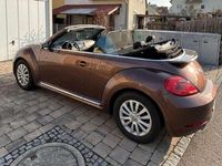 Gebraucht VW Beetle Cabriolet 110 PS (80 kW) 2016 Bronze Cabrio