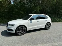 Gebraucht Audi SQ5 Sport 340 PS (250 kW) 2016 Weiß SUV