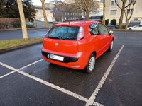 Gebraucht Fiat Punto 69 PS (50 kW) 2012 Rot Kleinwagen