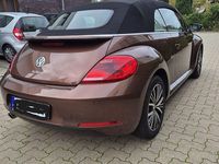 Gebraucht VW Beetle Allstar 105 PS (77 kW) 2016 Braun Kleinwagen