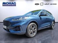 Gebraucht Ford Kuga ST-Line X 2023 Blau SUV