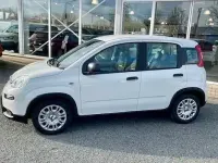 Gebraucht Fiat Panda Cross Cross 70 PS (51 kW) 2024 Weiß Kleinwagen