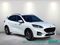 Gebraucht Ford Kuga ST-Line X 224 PS (164 kW) 2022 Weiß SUV