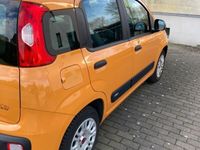 gebraucht Fiat Panda New1.2 8V EASY EASY