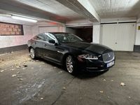 gebraucht Jaguar XJ Premium Luxury