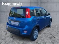 Gebraucht Fiat Panda 69 PS (50 kW) 2024 Blau Kleinwagen