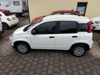 Gebraucht Fiat Panda 69 PS (50 kW) 2024 Weiß Limousine
