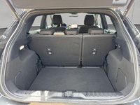 Gebraucht Ford Puma ST-Line 155 PS (114 kW) 2024 Magnetic grau metallic SUV