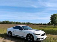 Gebraucht Ford Mustang 317 PS (233 kW) 2015 Weiß Coupé